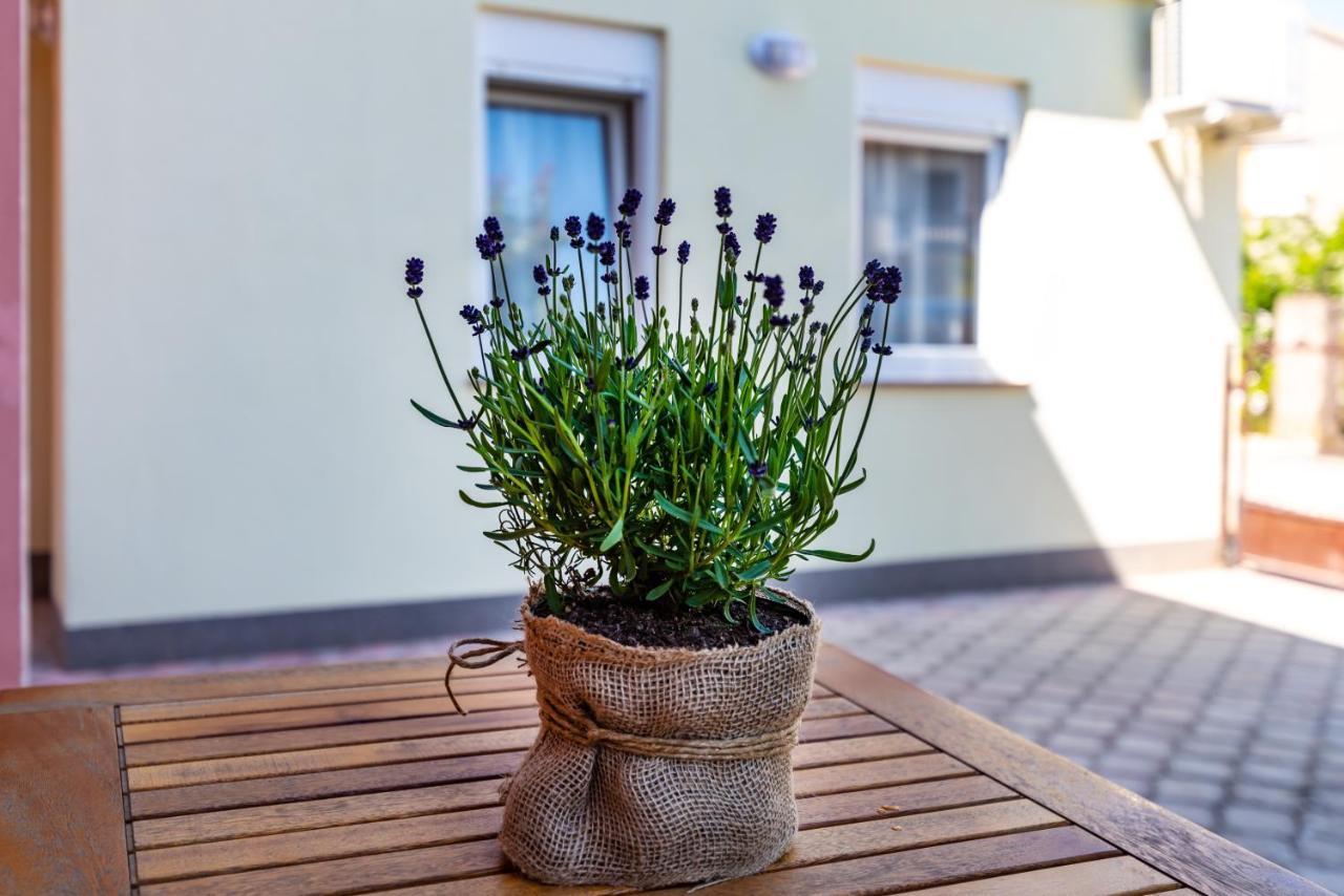زادار Studio Apartment Gina المظهر الخارجي الصورة